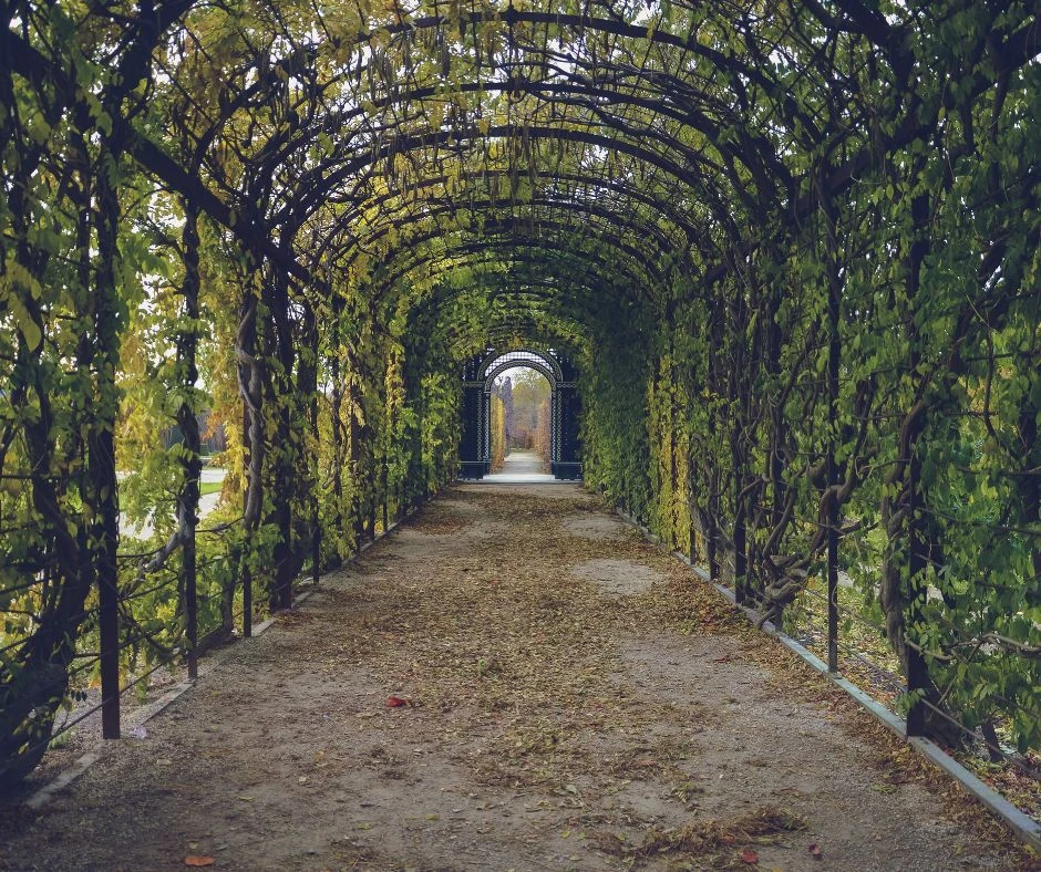 bodnant gardens